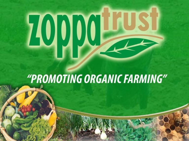 Zimbabwe Organic Sector Strategy 2019