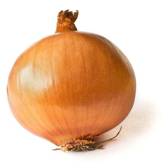 Organic Onion Grower Manual